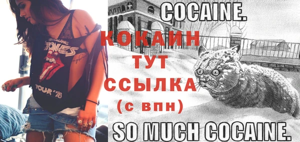 ECSTASY Кодинск
