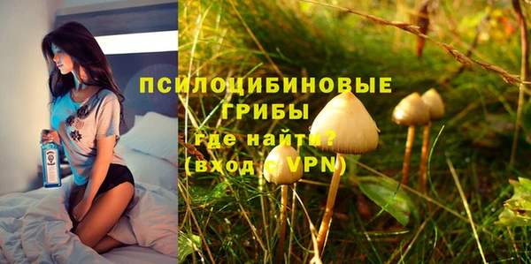 герыч Козельск