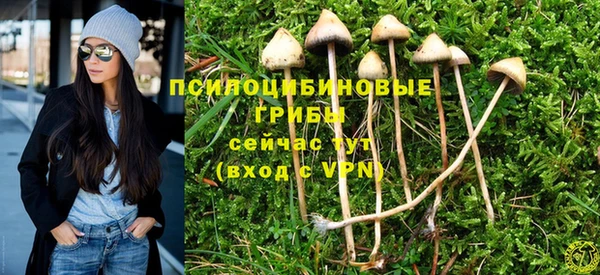 MDMA Козловка