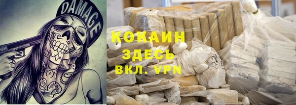 твердый Коряжма