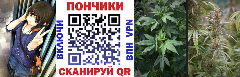 цены наркотик  Красавино  Бошки марихуана тримм 
